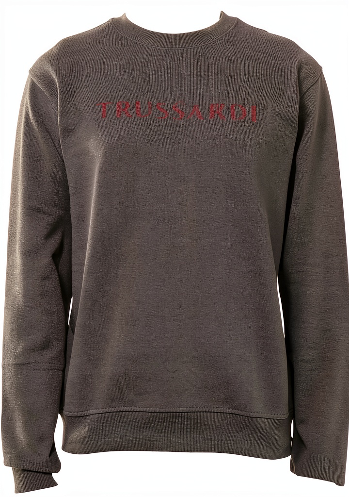 Felpa Trussardi Uomo in cotone grigio indossata in un contesto urbano