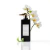 trussardi donna