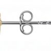 Orecchini Trussardi T-LOGO zirconi acciaio inossidabile-2